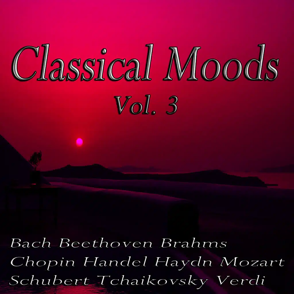 Die Winterreise Op. 89: Das Wirtshaus