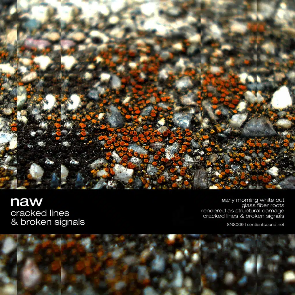 Cracked Lines & Broken Signals EP