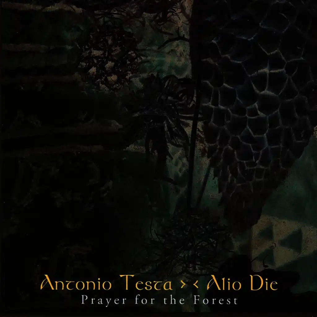 Prayer for the Forest