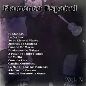 Flamenco Español Vol. 2