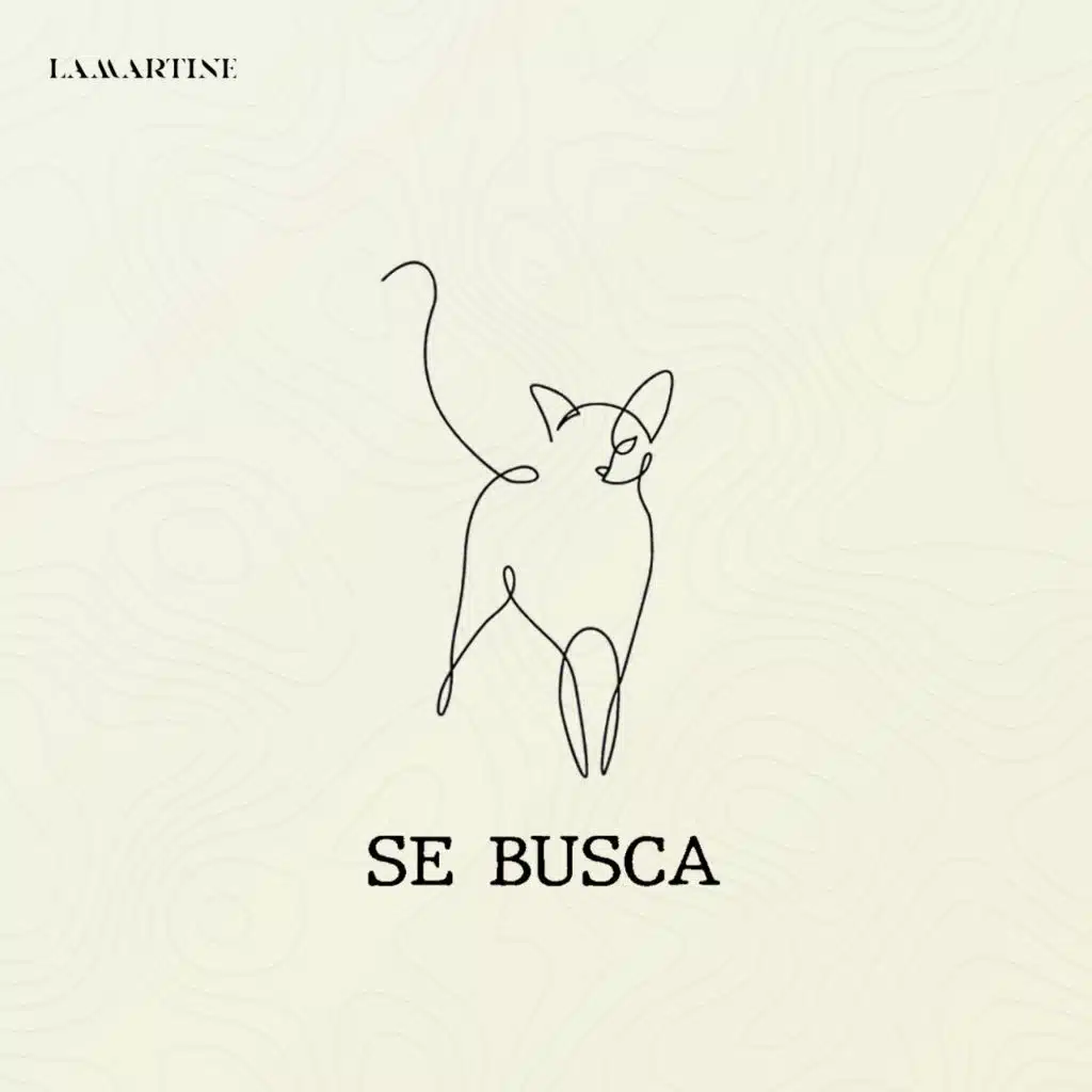 Se Busca