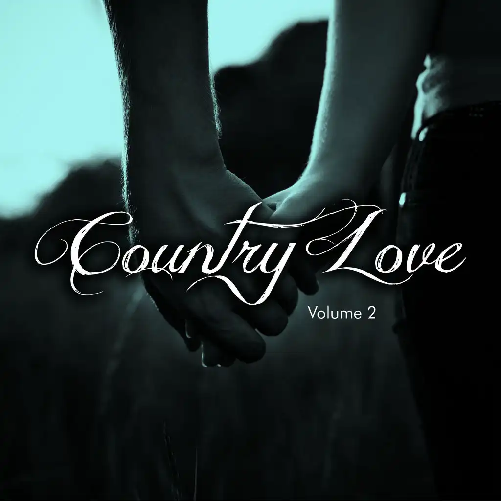 Country Love, Vol. 2