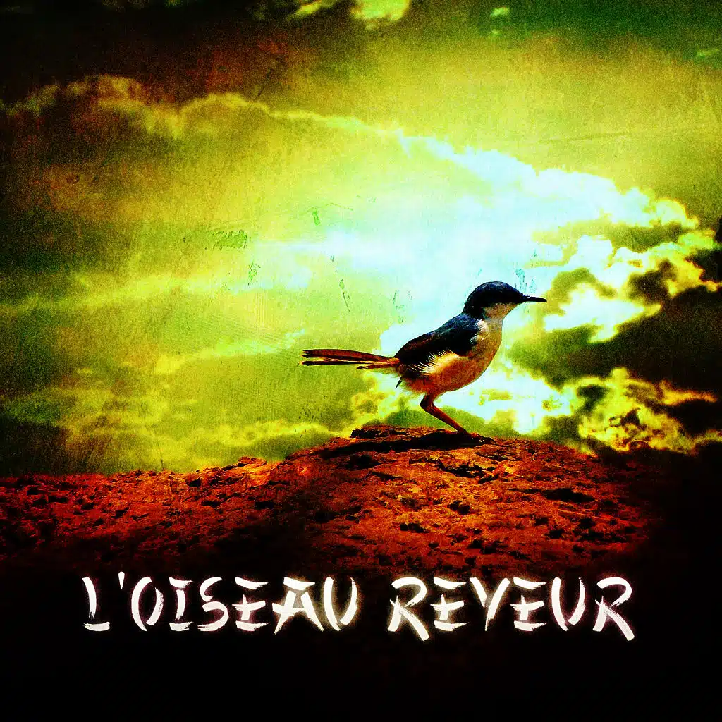 Zen & Relaxation: L'oiseau rêveur