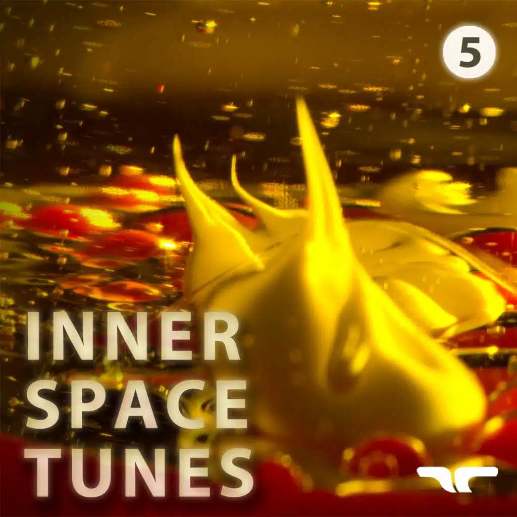 Inner Space Tunes 5