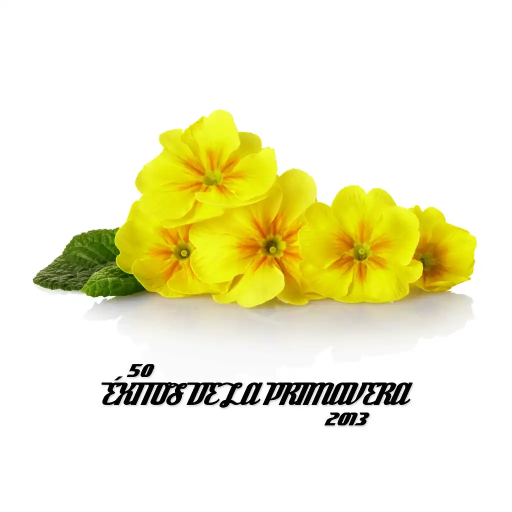 50 Éxitos de la Primavera 2013