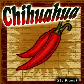 Chihuahua - Single