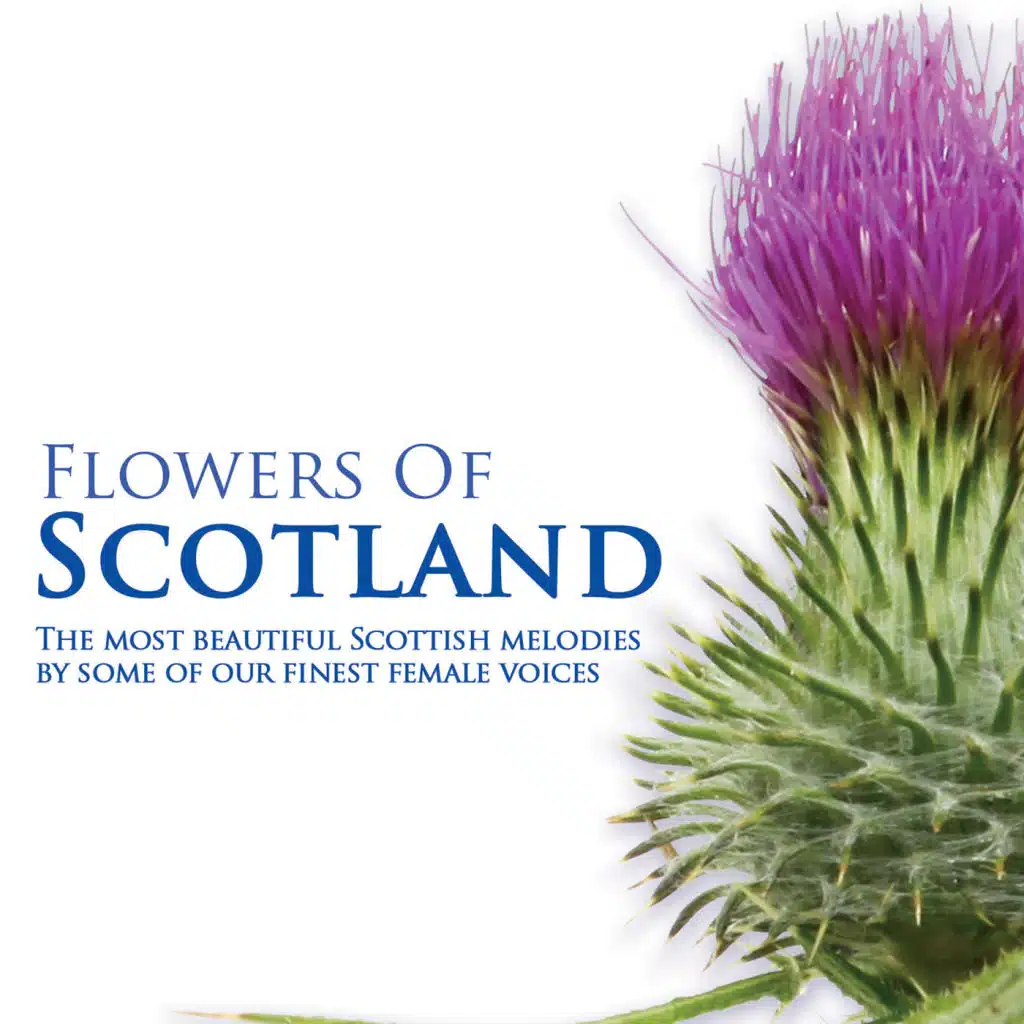 Ain't No Sunshine (Celtic Soul Mis)