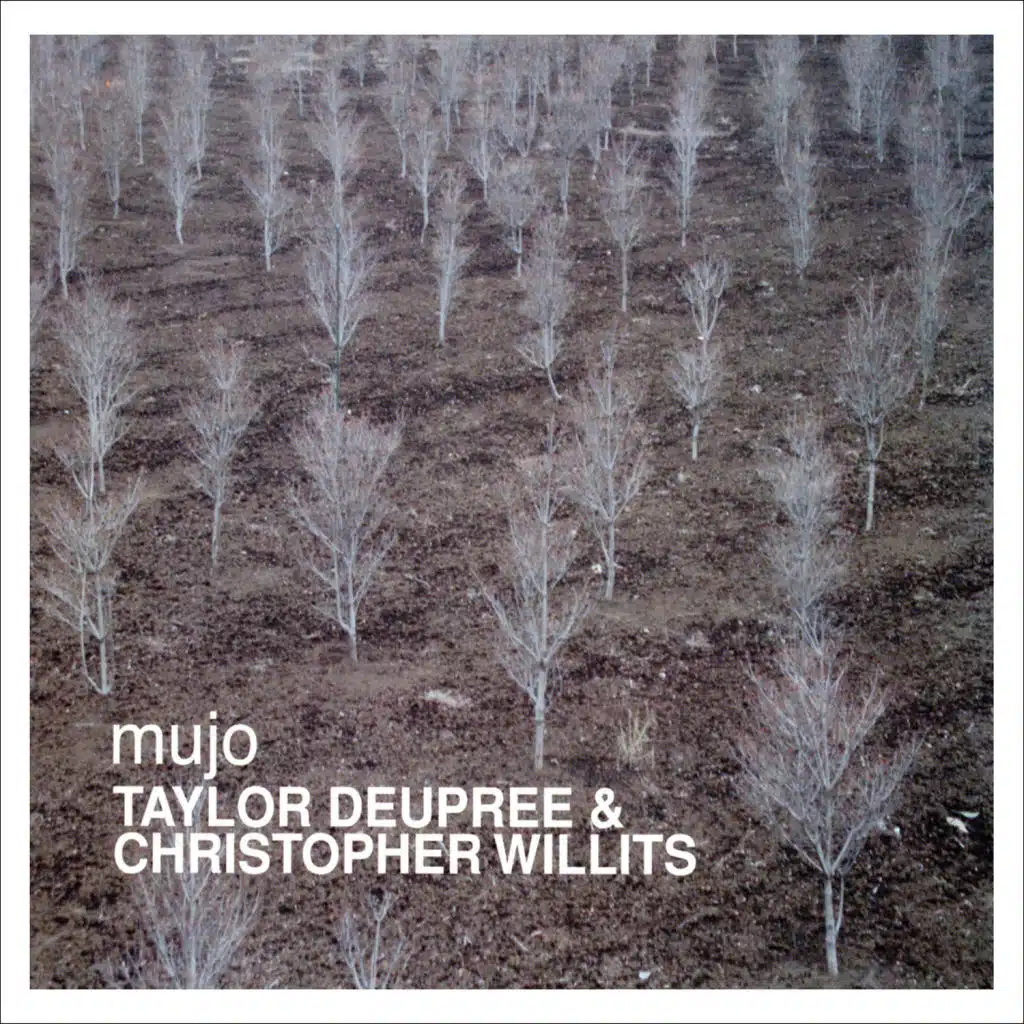Taylor Deupree, Christopher Willits