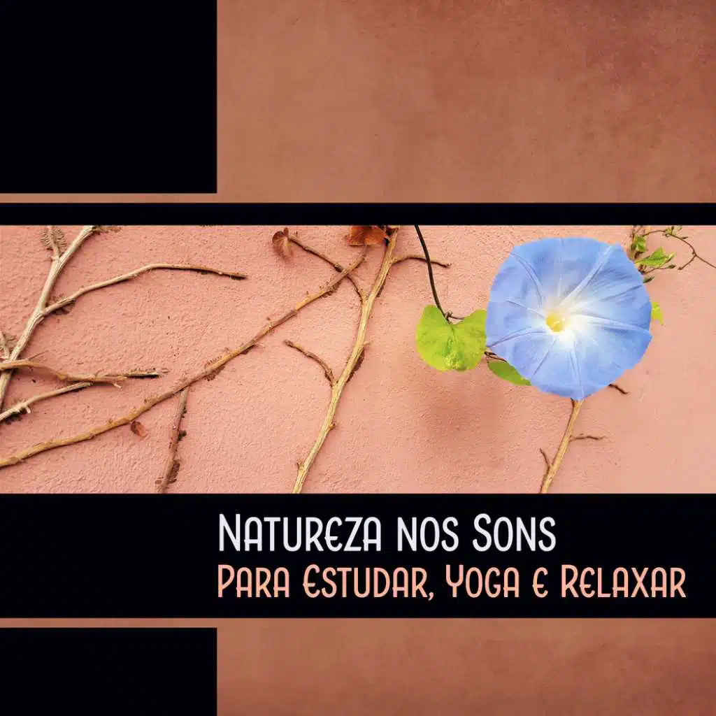Natureza nos Sons