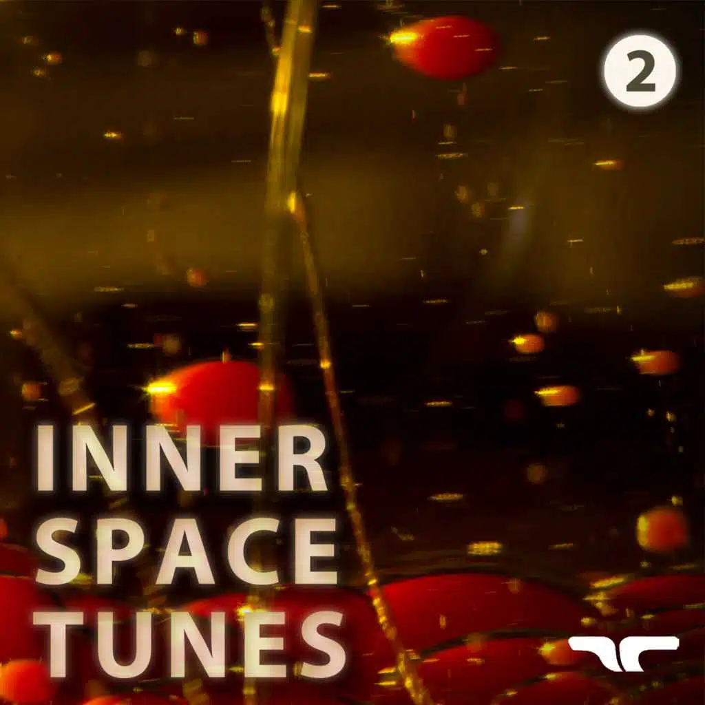 Inner Space Tunes 2