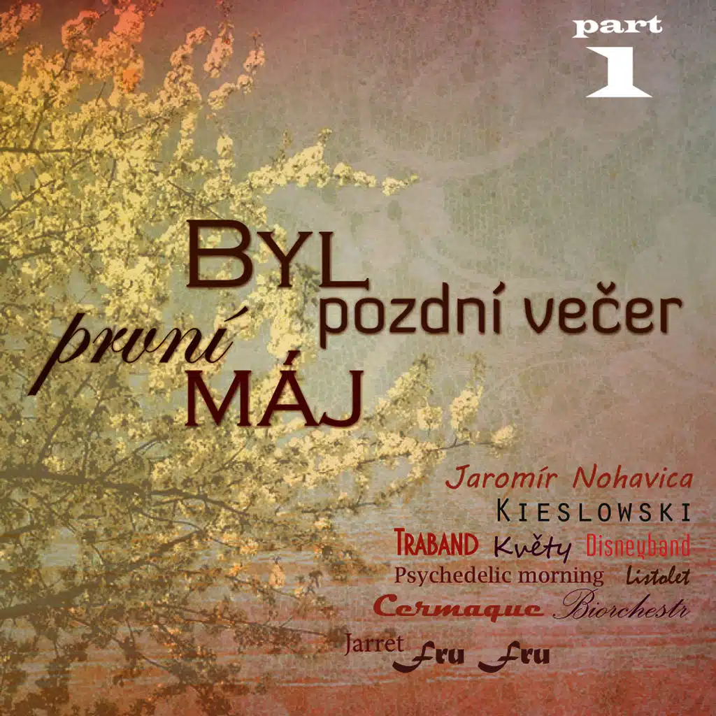 Byl pozdní večer, první máj