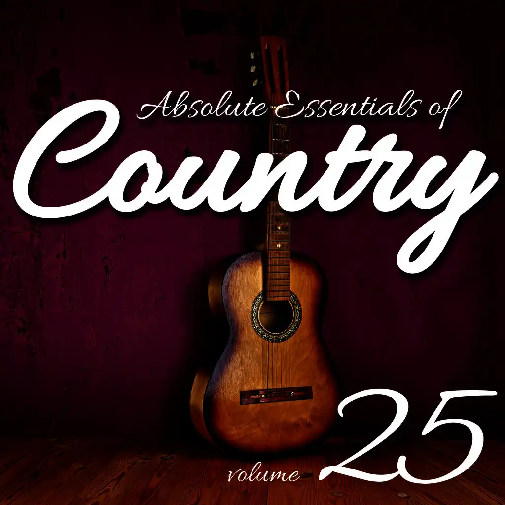 Absolute Essentials of Country, Vol. 25