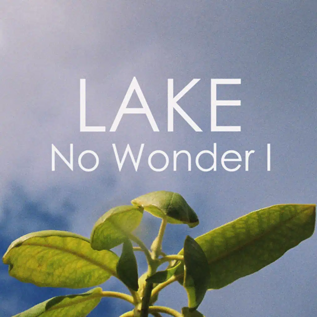 No Wonder I