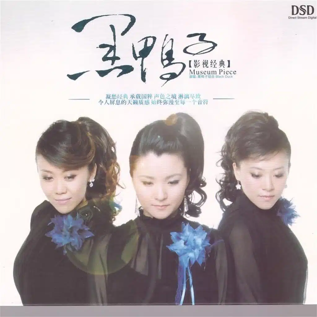 黑鸭子 (影视经典)