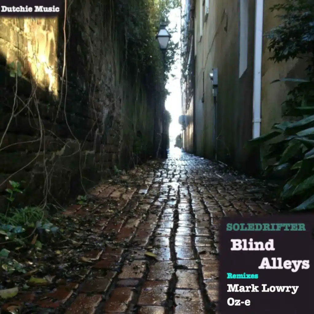 Blind Alleys