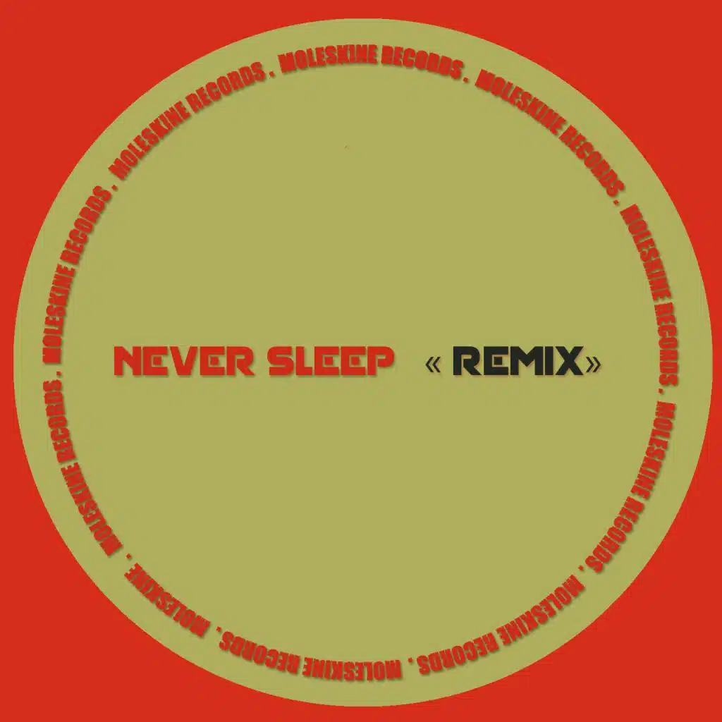 Never Sleep (Remix) [feat. Princess Superstar & Darelectric]