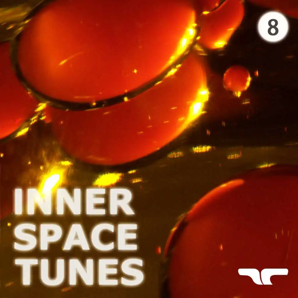 Inner Space Tunes 8