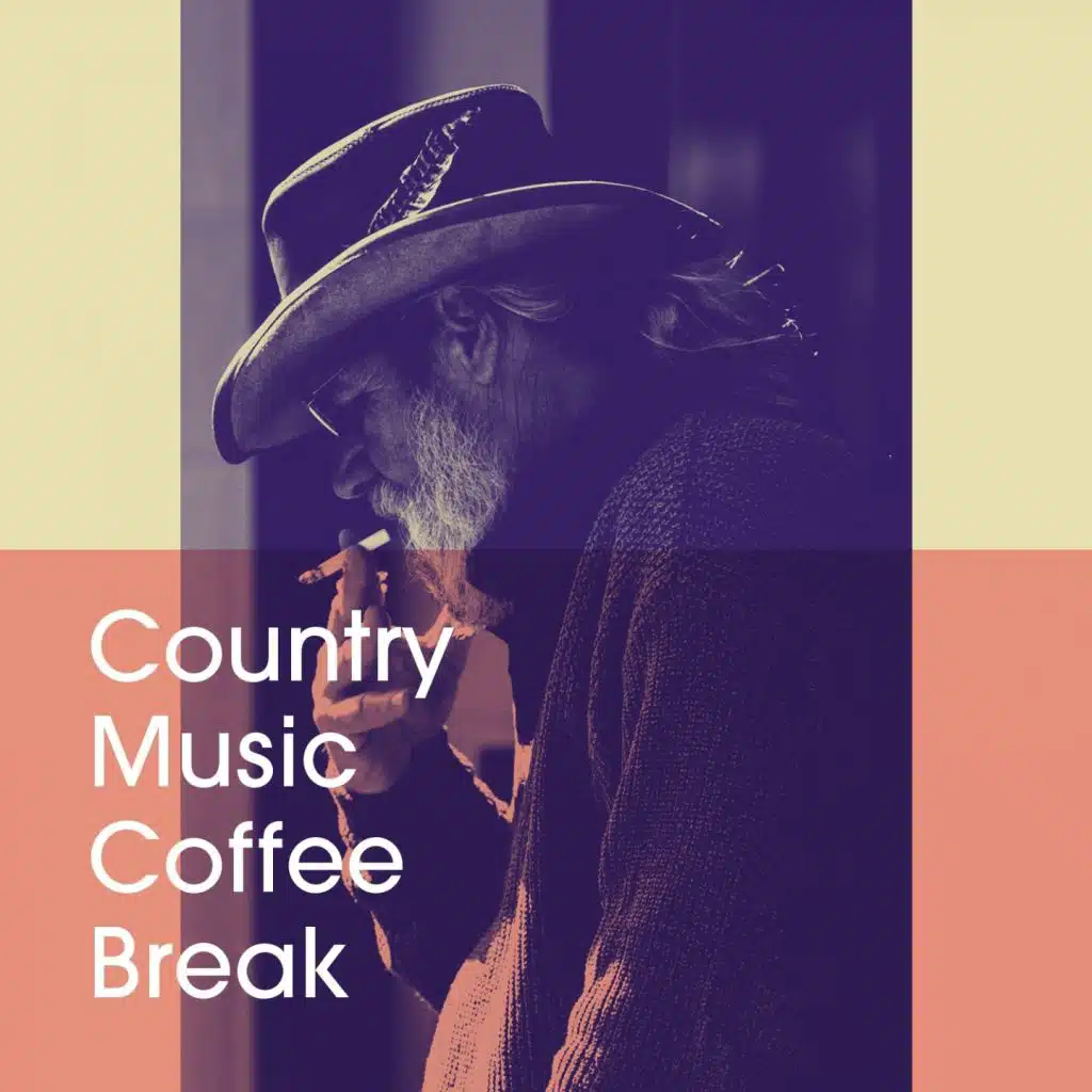 Country Music Masters, Country Singers International, The Party Hits All Stars