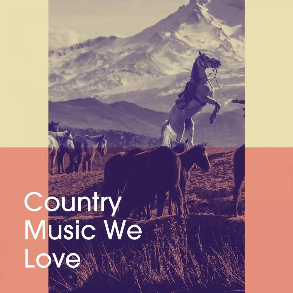 Country Music We Love