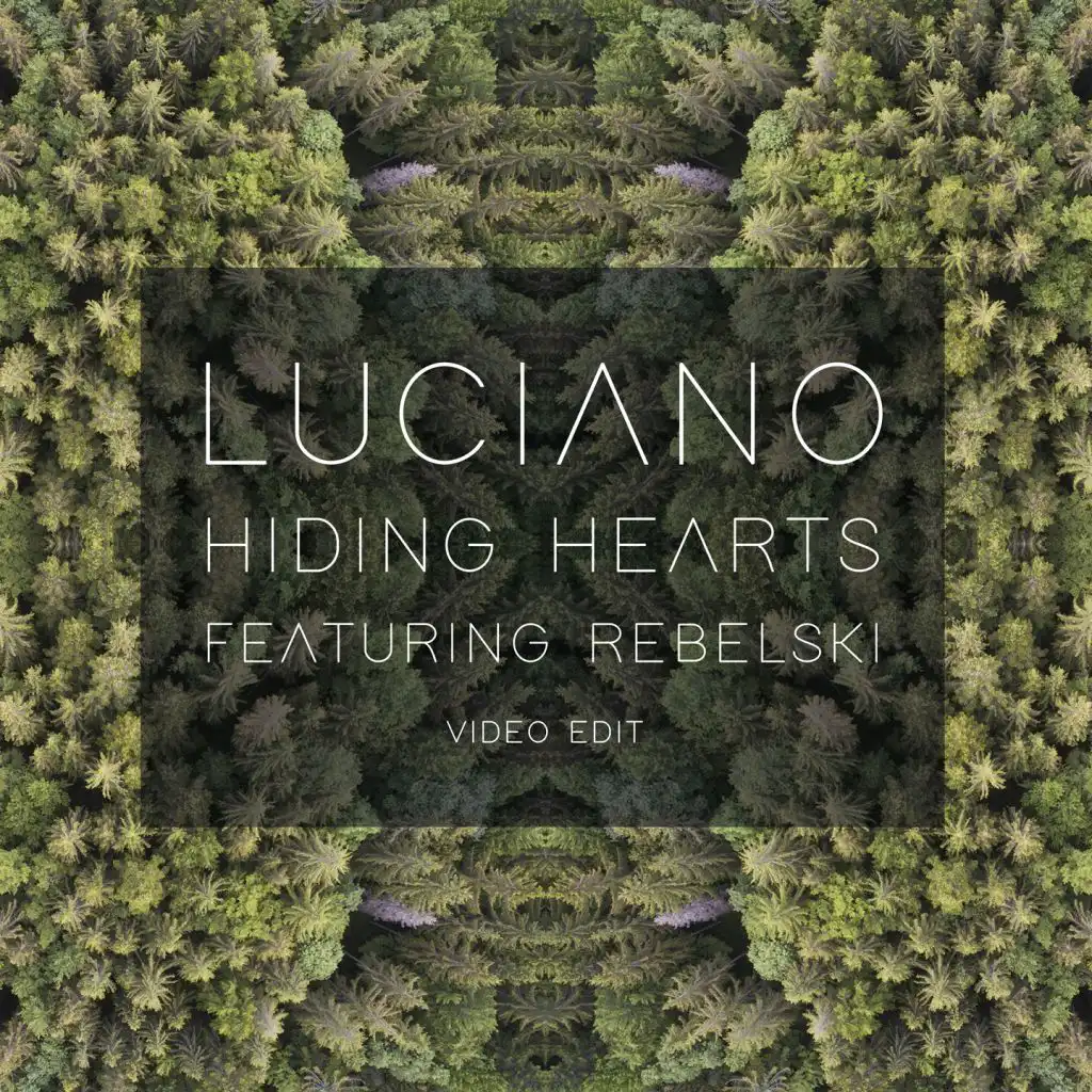 Hiding Hearts (Video Edit) [feat. Rebelski]