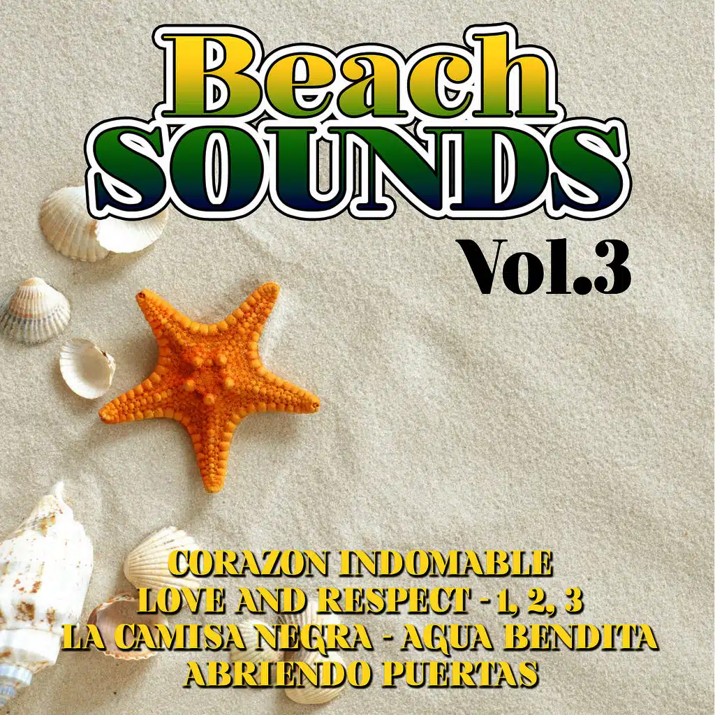 Beach Sounds Vol. 3
