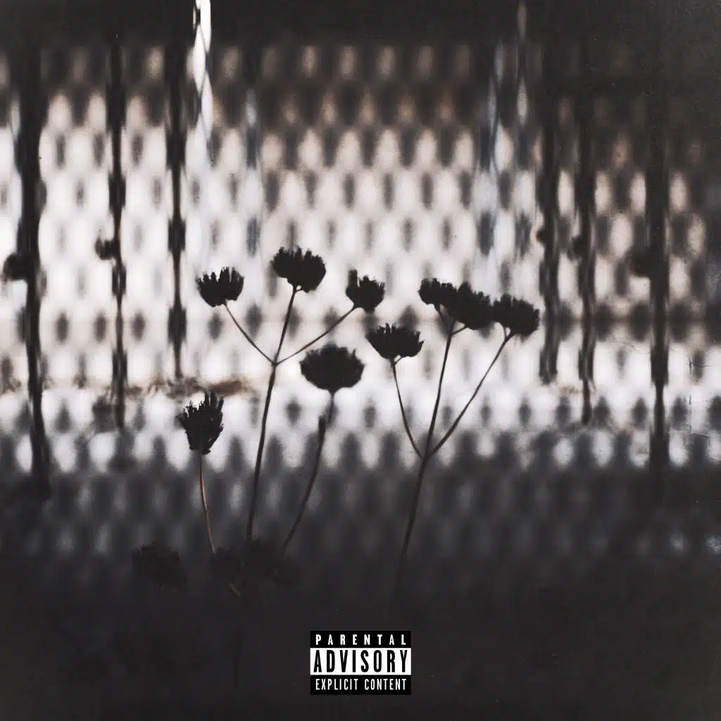 Killing Me Slowly (feat. Daymo)