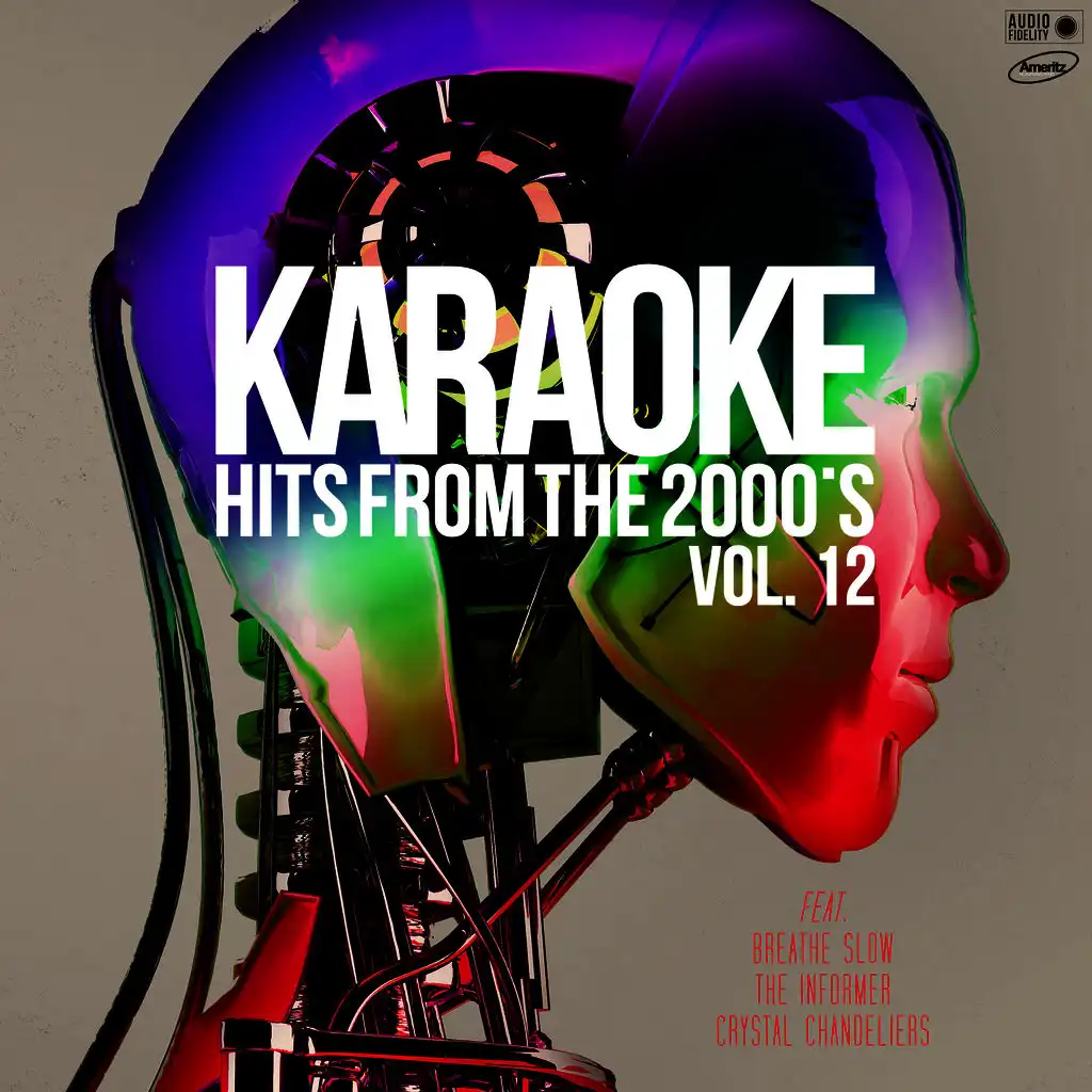 Karaoke Hits from the 2000's, Vol. 12