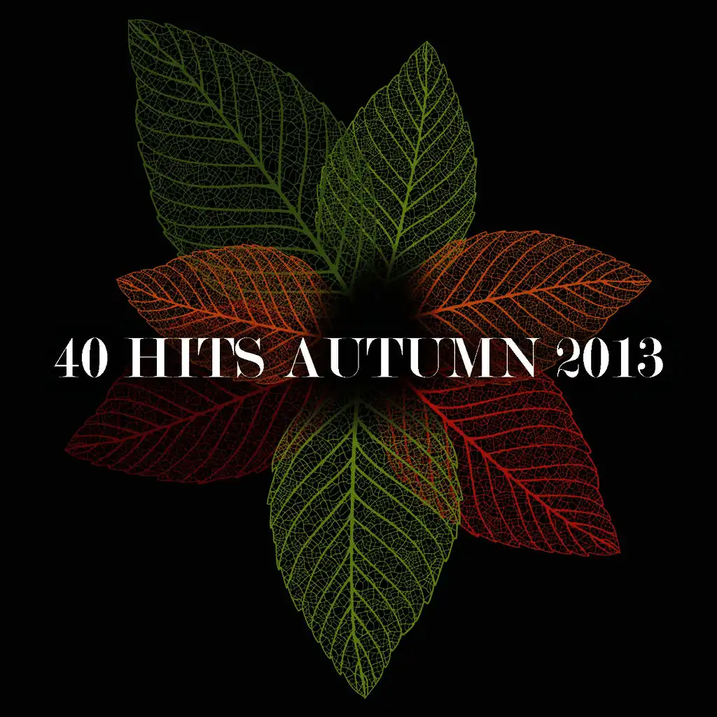 40 Hits Autumn 2013
