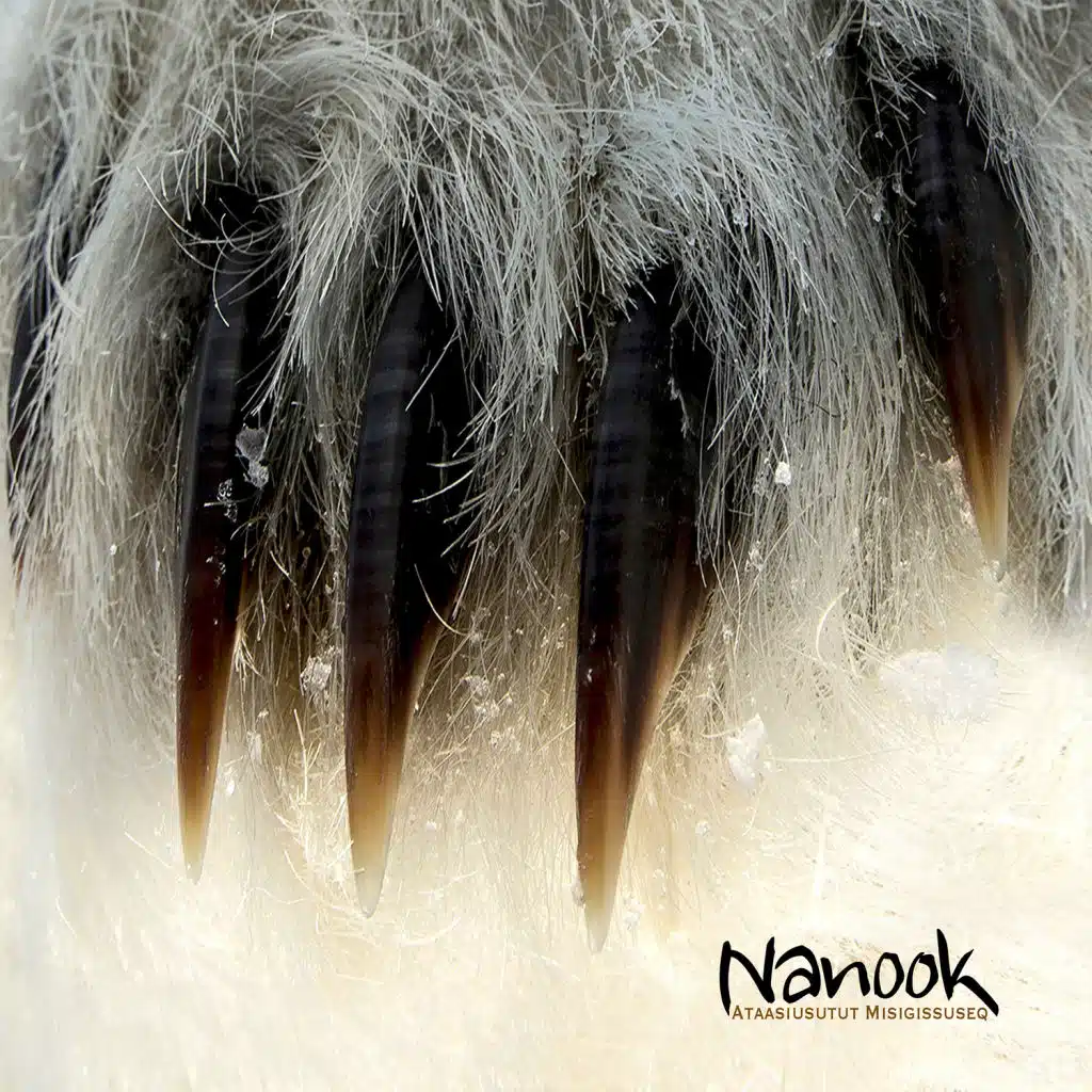 Ataasiusutut Misigissuseq (feat. Christian K. Elsner & Frederik K. Elsner)