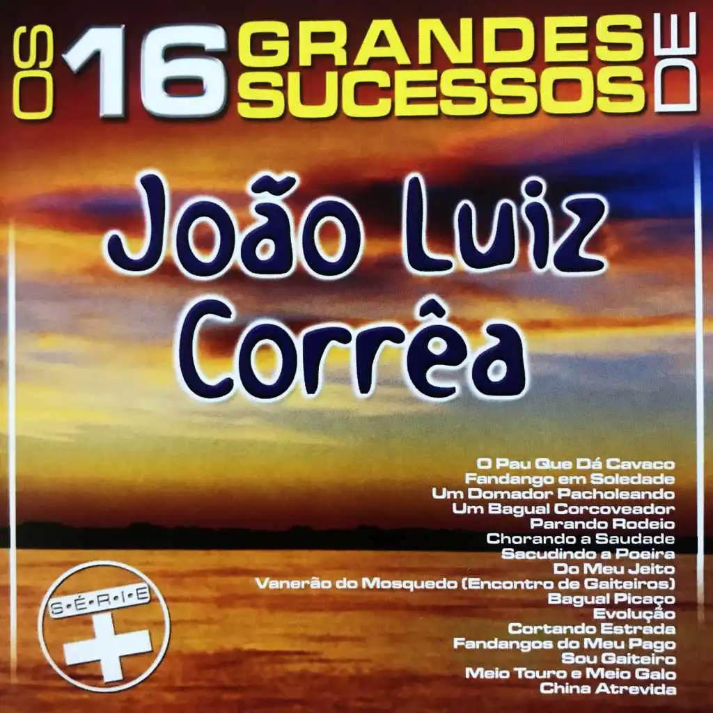 Os 16 Grandes Sucessos de João Luiz Corrêa - Série +
