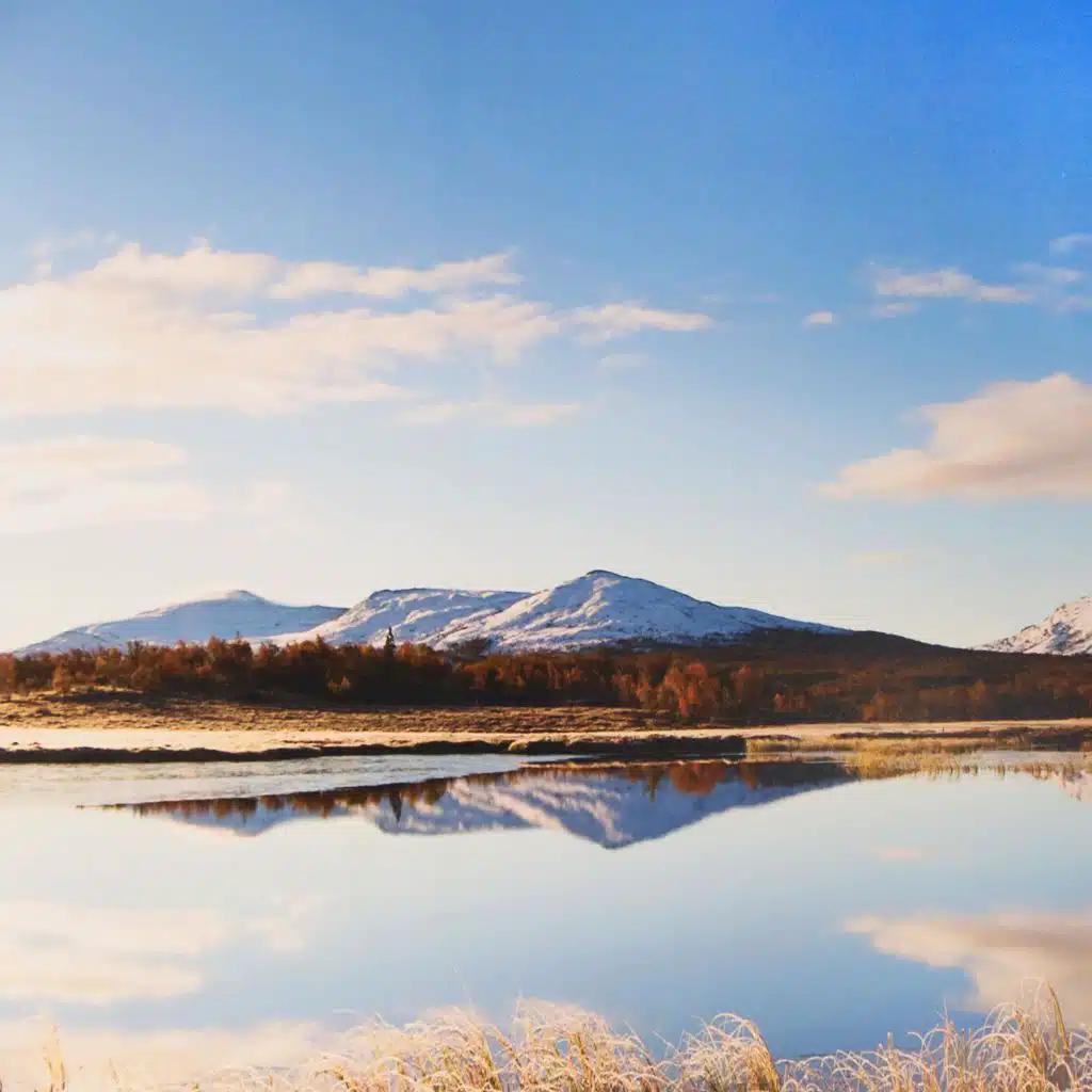 Better and More Peaceful