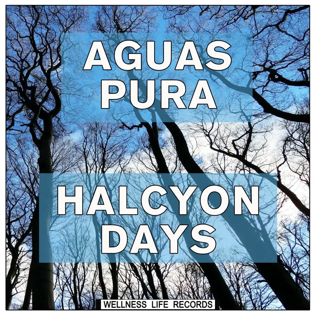 Halcyon Days