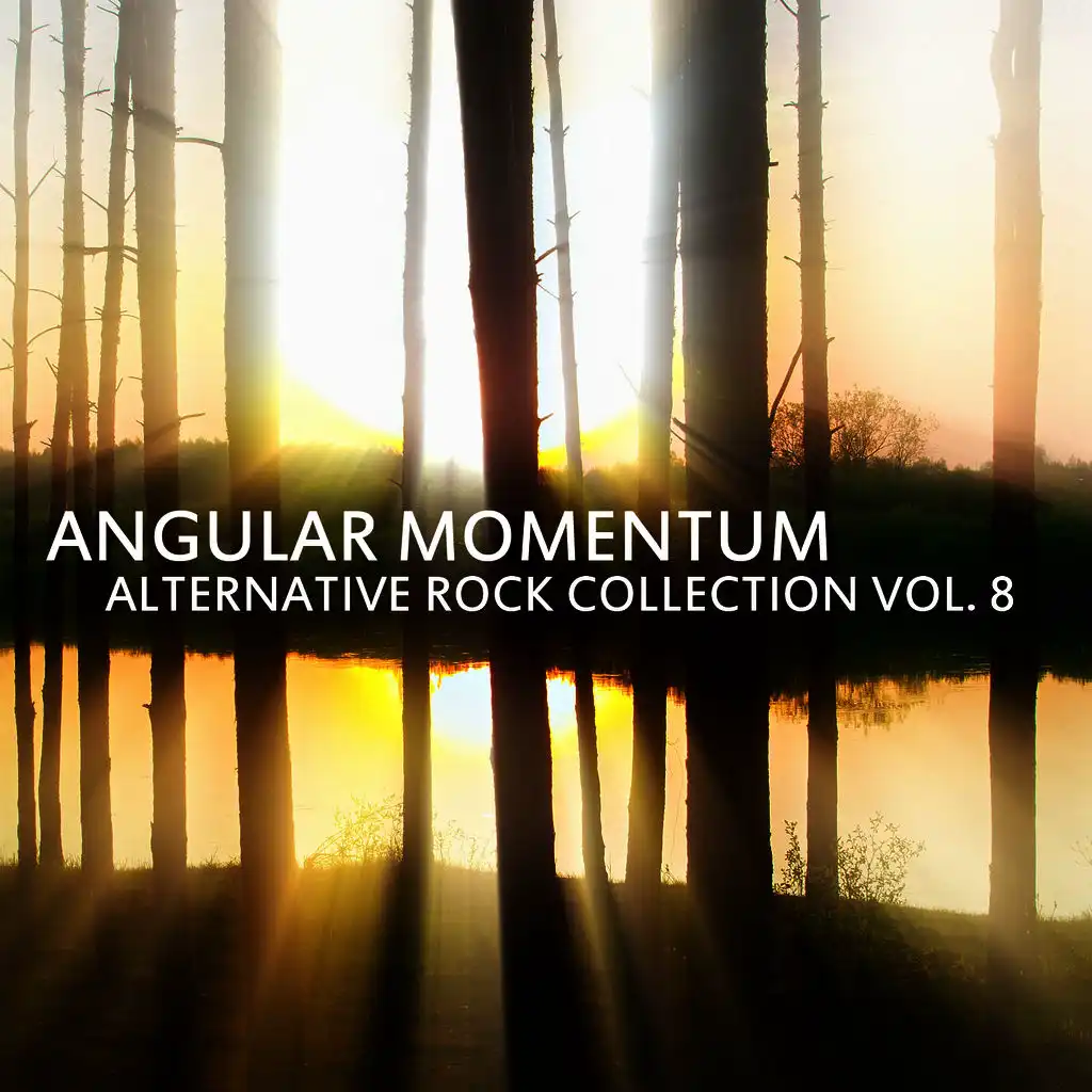 Angular Momentum: Alternative Rock Collection Vol. 8