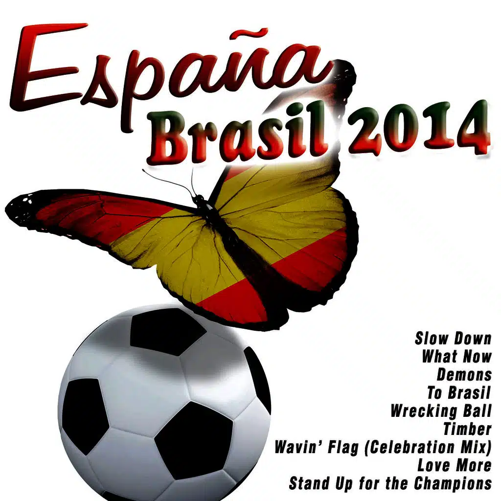 España - Brasil 2014