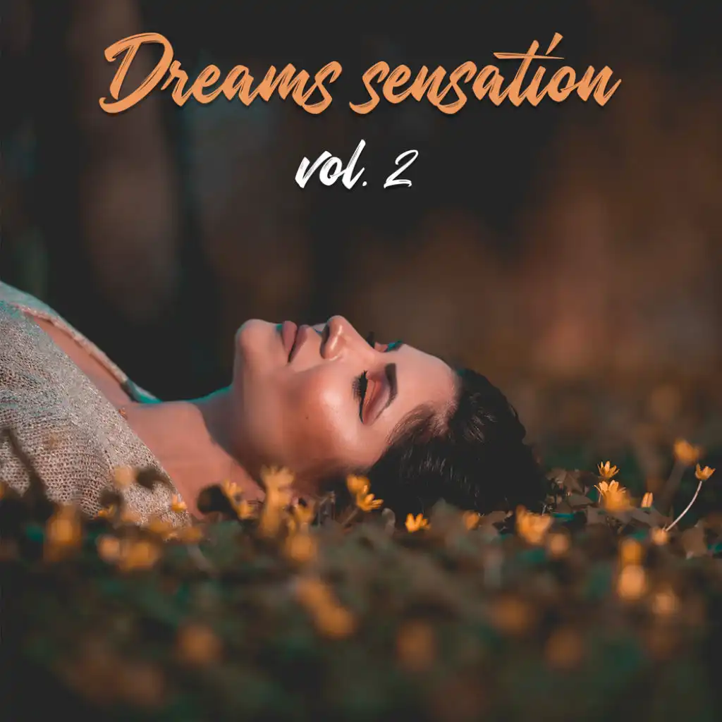 Dreams Sensation Vol.2