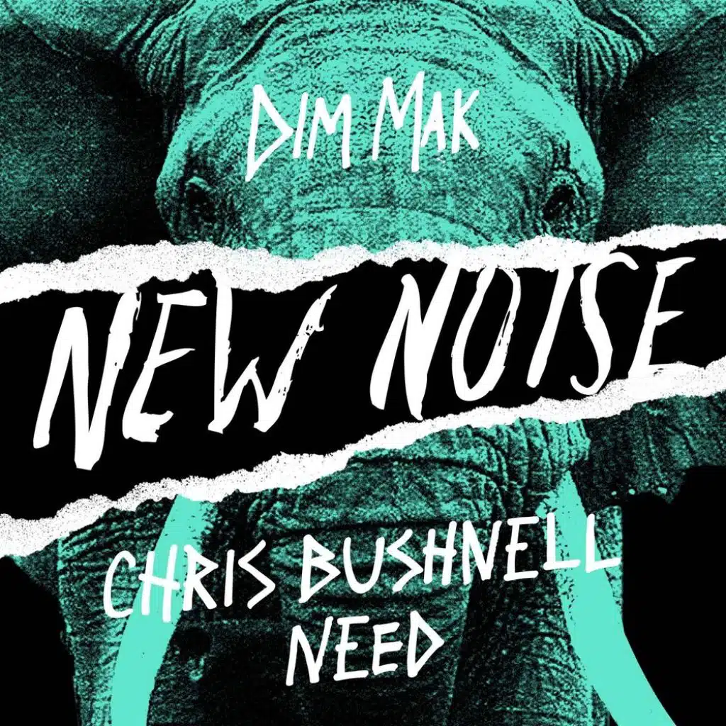 Chris Bushnell