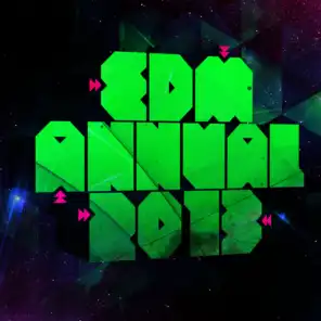 EDM Annual 2013