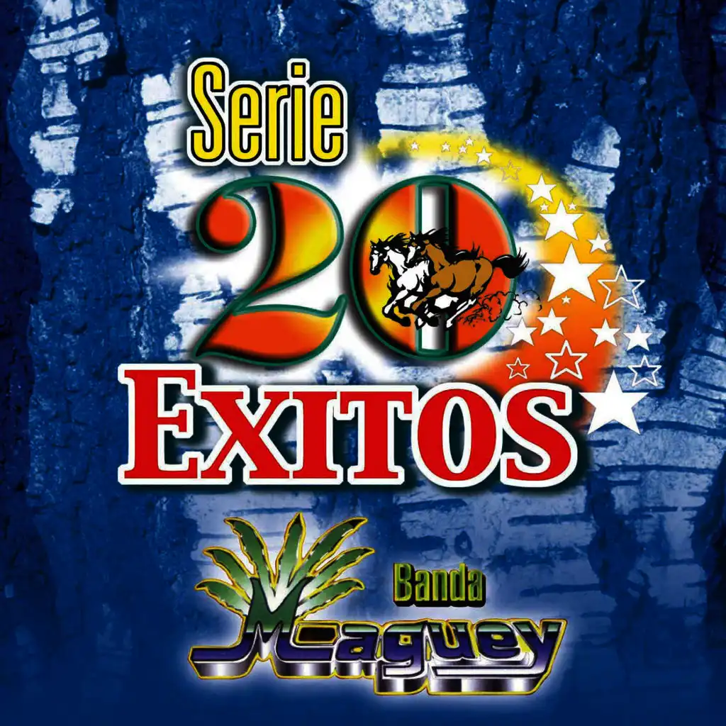 Serie 20 Exitos