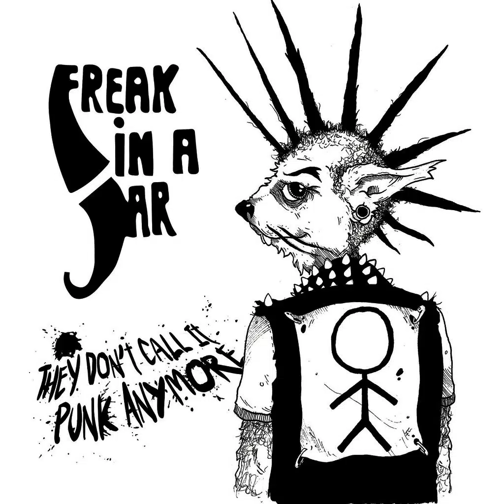 They Don't Call It Punk Anymore