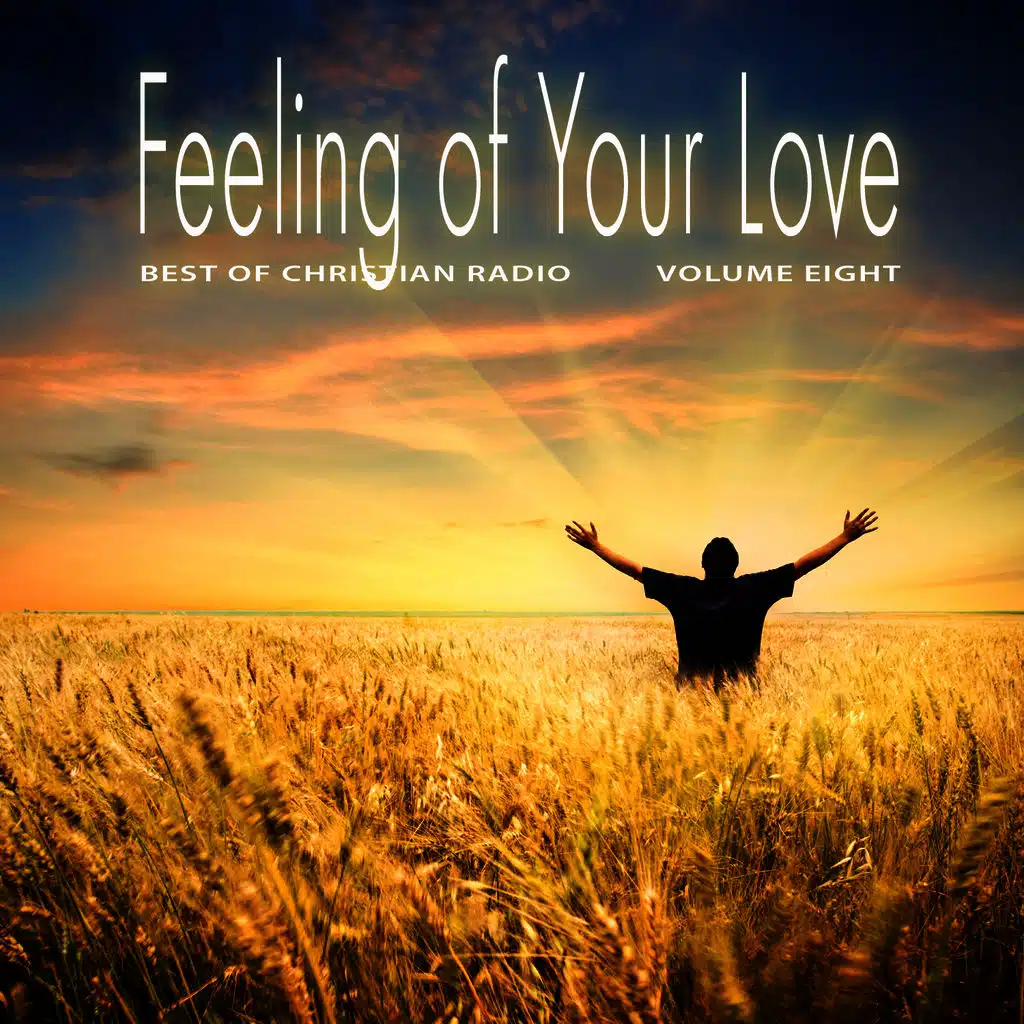 Best of Christian Radio: Feeling of Your Love, Vol. 8