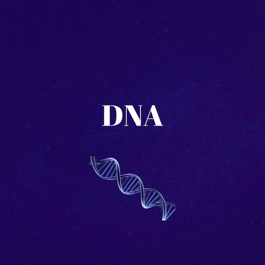 DNA