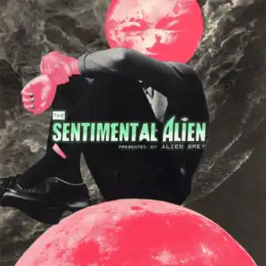 The Sentimental Alien