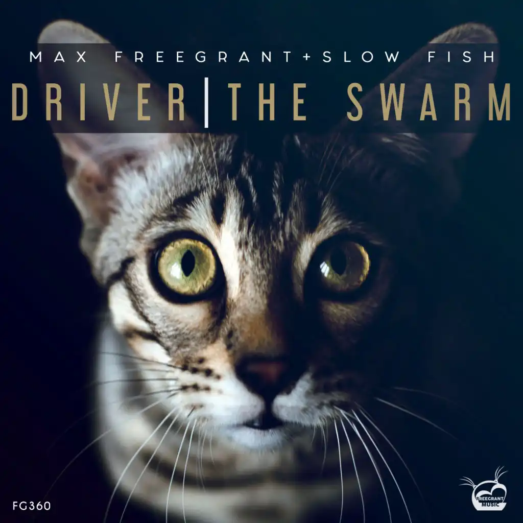 Driver / The Swarm