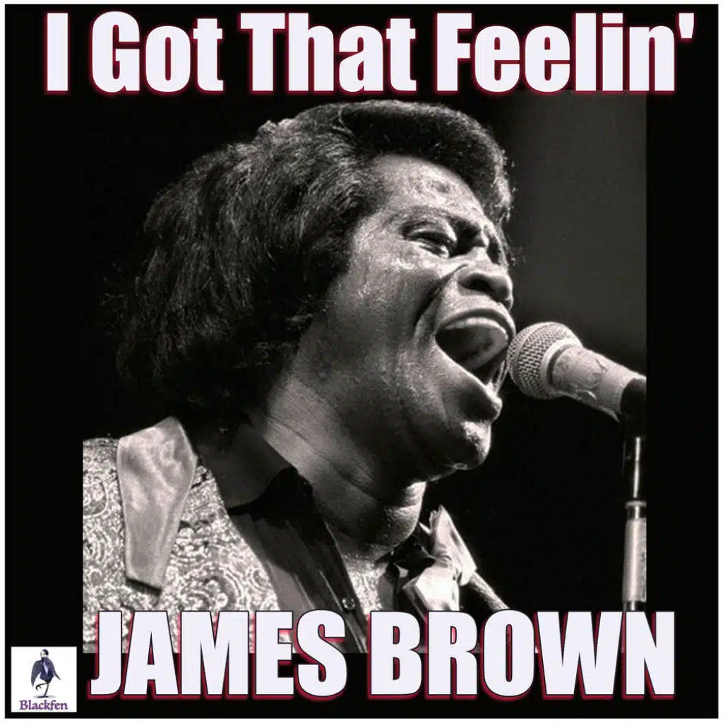James Brown Jam (Live) Play on Anghami