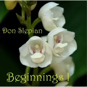 Don Slepian
