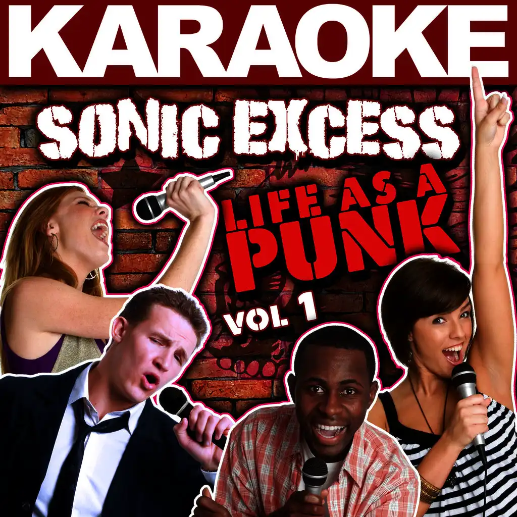 Karaoke Sonic Excess: Life as a Punk, Vol. 1