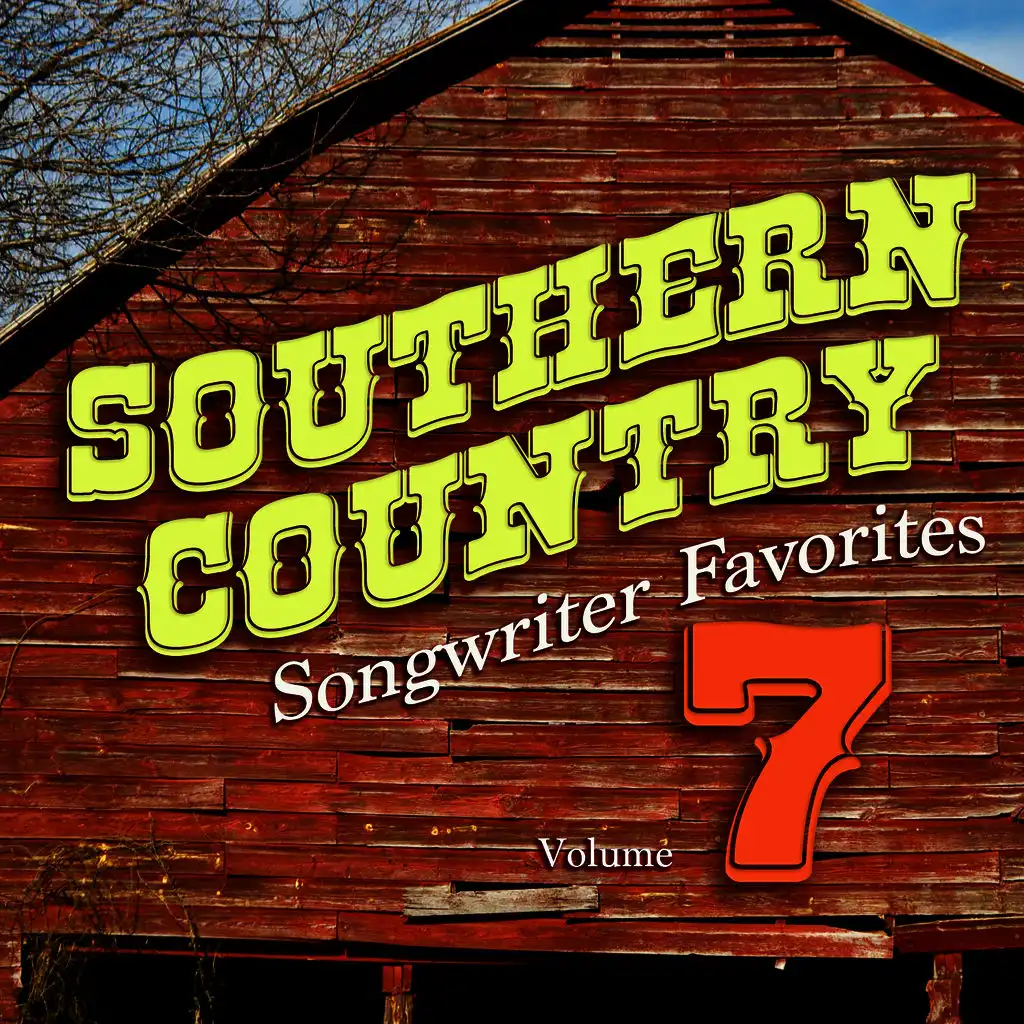 Southern Country Songwriter Favorites, Vol. 7