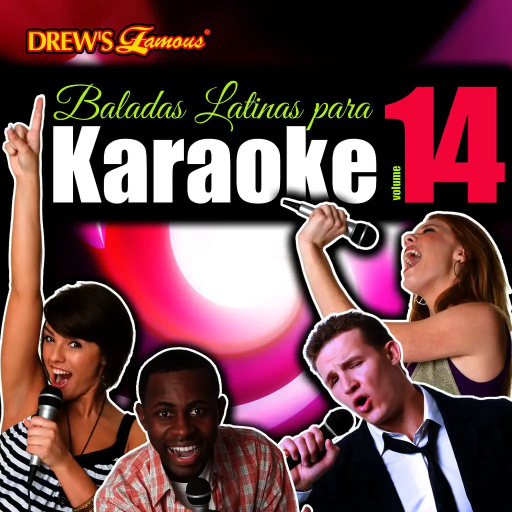 Baladas Latinas Para Karaoke, Vol. 14