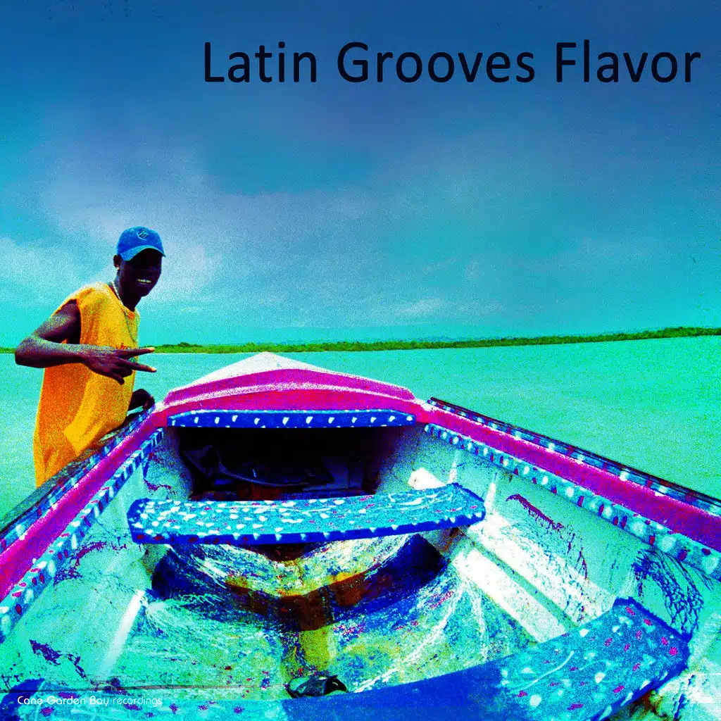 Latin Grooves Flavor