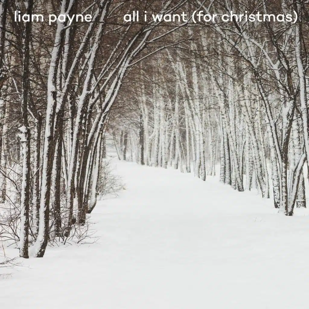 All I Want (For Christmas) (Lyric Video)